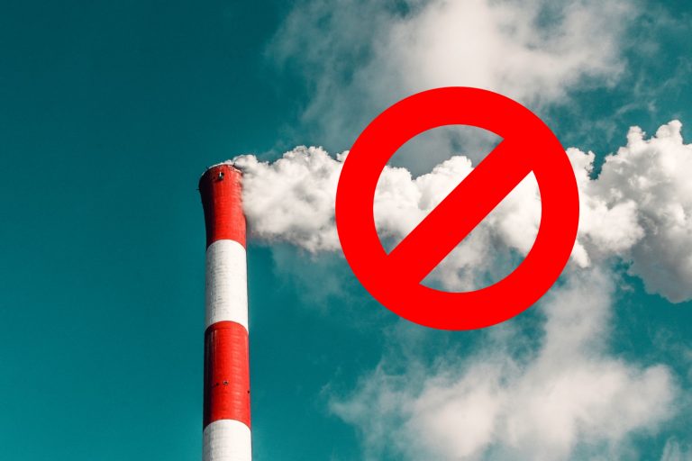 Compensators: Verein legt dank Spenden CO2-Zertifikate lahm