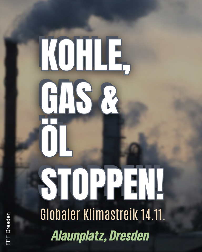 Globaler Klimastreik 2025