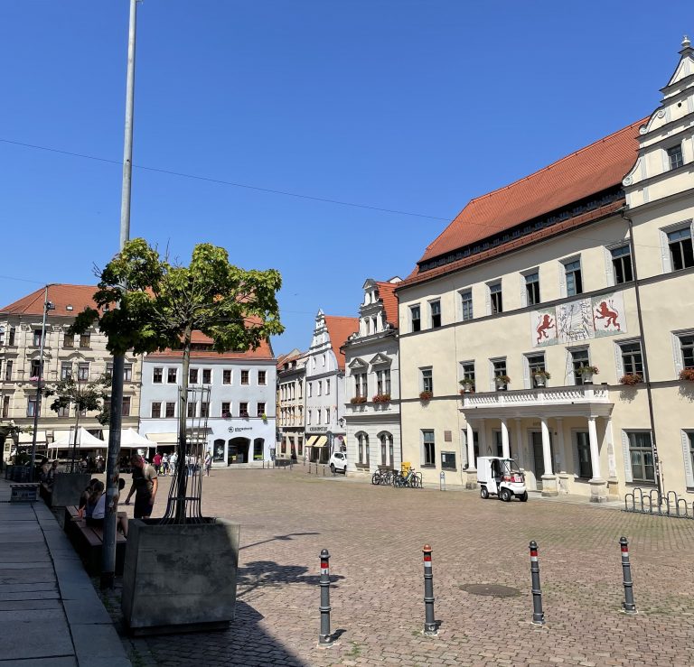 Wer jetzt noch Bäume fällt …